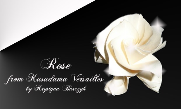 Rose from Kusudama Versailles by Krystyna Burczyk