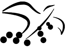 FOLD logo black transp