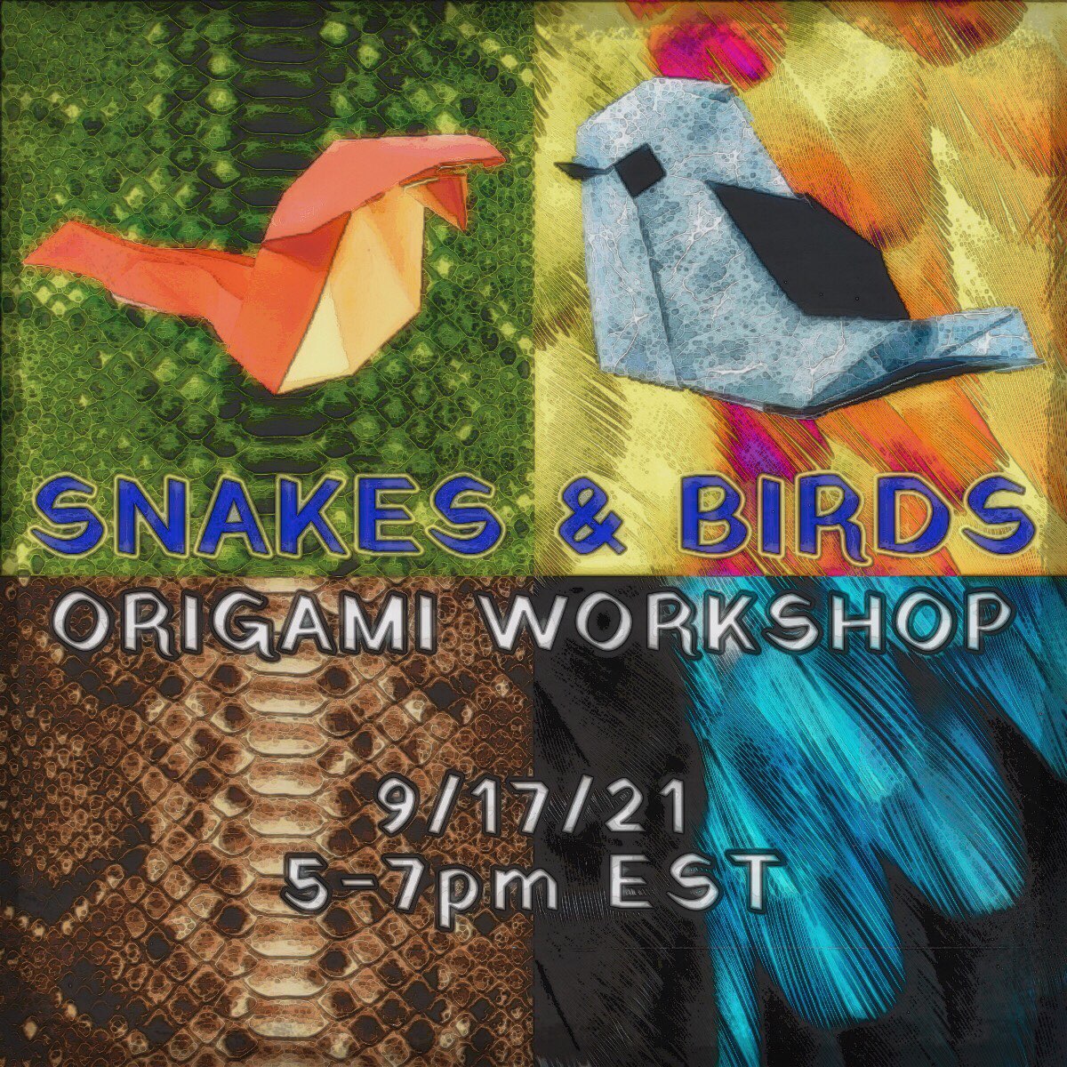 Snakes & Birds&nbsp;Workshop!!!🐍🐦